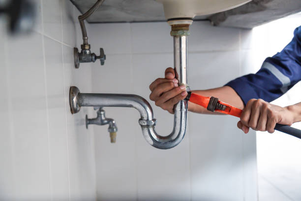 Best Clogged Drain Plumber  in East Basin, UT